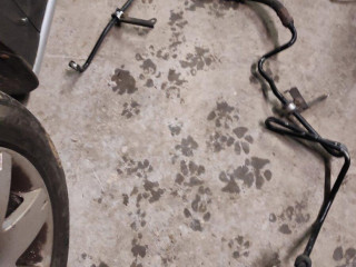 skoda-octavia-volkswagen-golf-4-servohadice