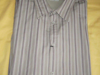 panska-kosela-stbernard-xxl